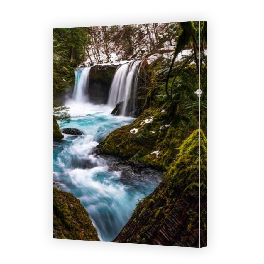 Thumbnail for Canvas - Mirror Image Canvas Wrap