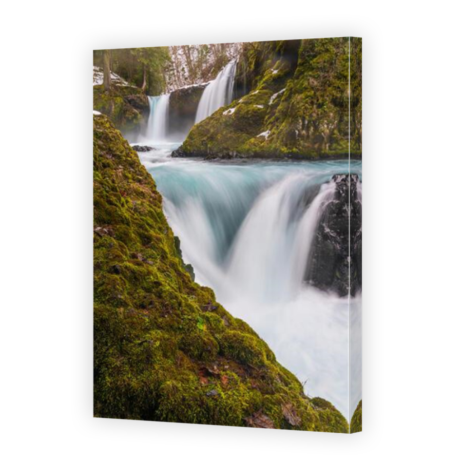 Thumbnail for Canvas - Mirror Image Canvas Wrap
