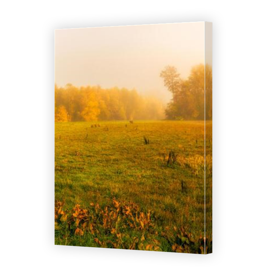 Thumbnail for Canvas - Mirror Image Canvas Wrap
