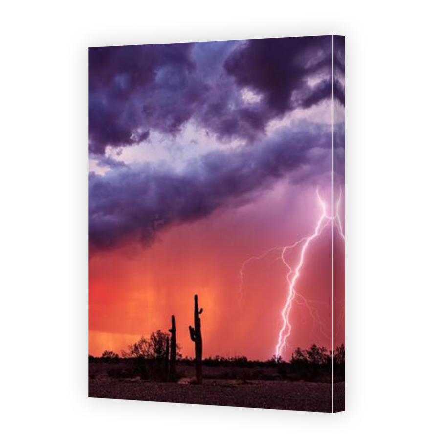 Thumbnail for Canvas - Mirror Image Canvas Wrap