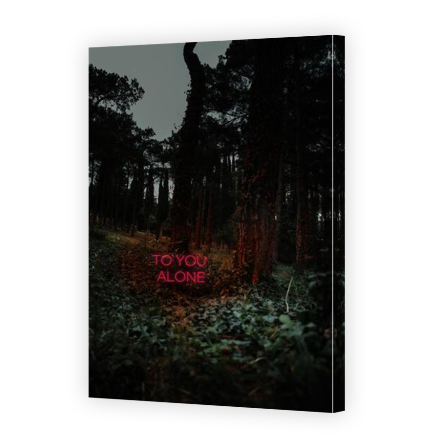 Thumbnail for Canvas - Mirror Image Canvas Wrap