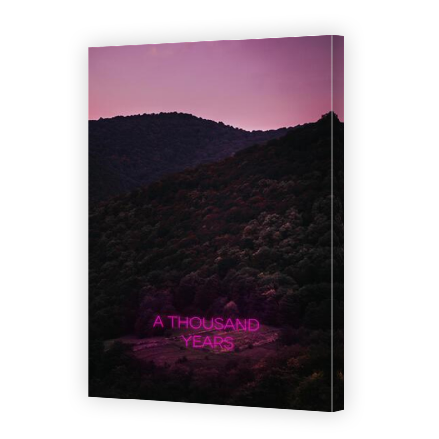 Thumbnail for Canvas - Mirror Image Canvas Wrap