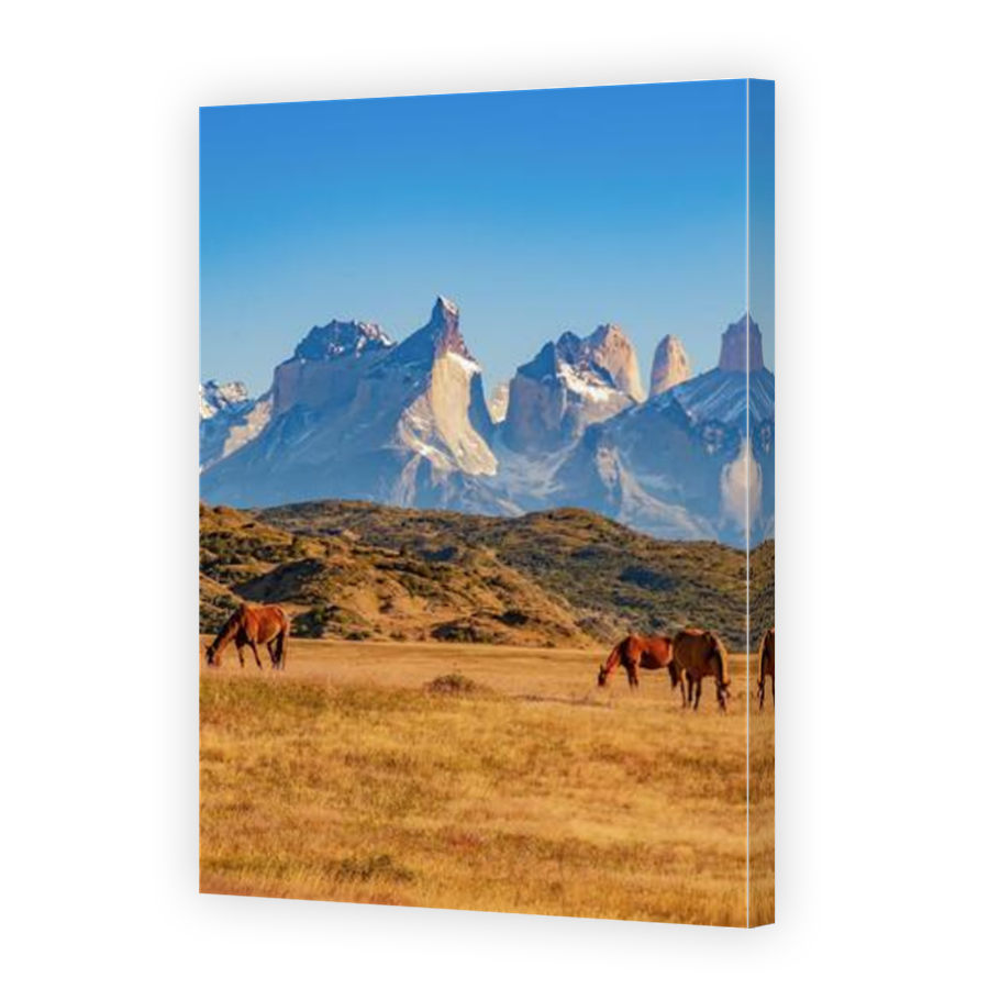 Thumbnail for Canvas - Mirror Image Canvas Wrap