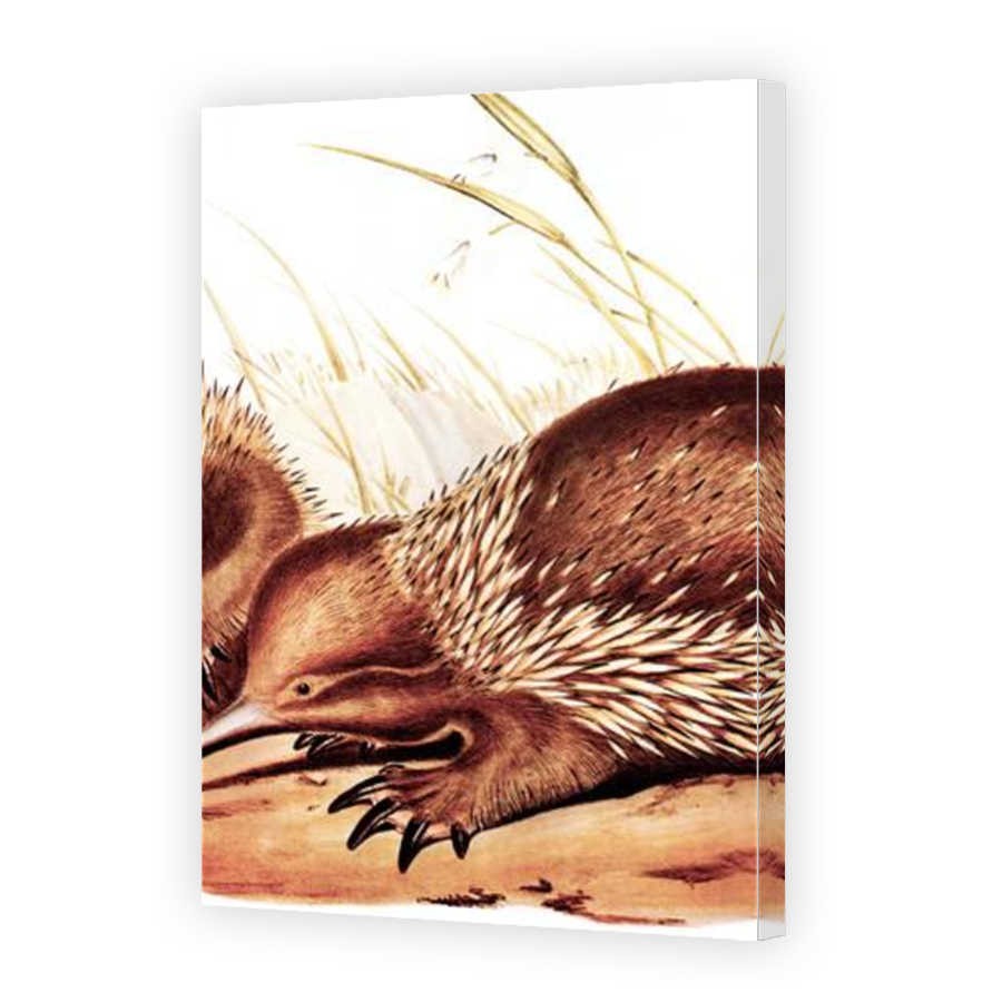Thumbnail for Canvas - Mirror Image Canvas Wrap