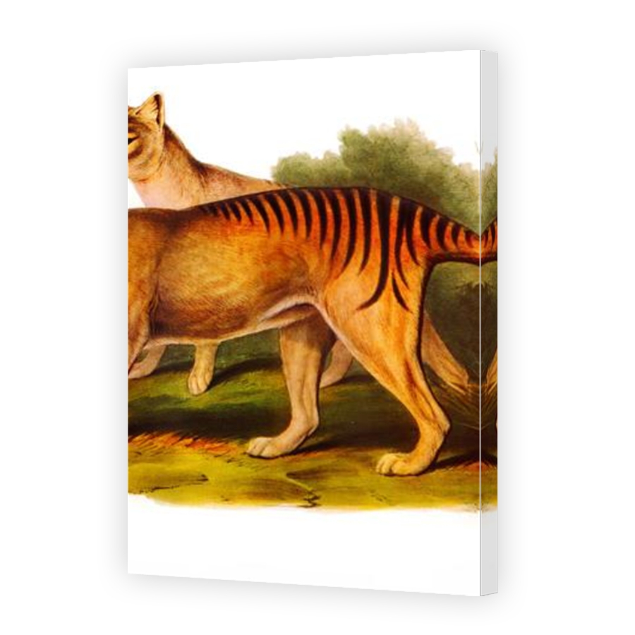 Thumbnail for Canvas - Mirror Image Canvas Wrap