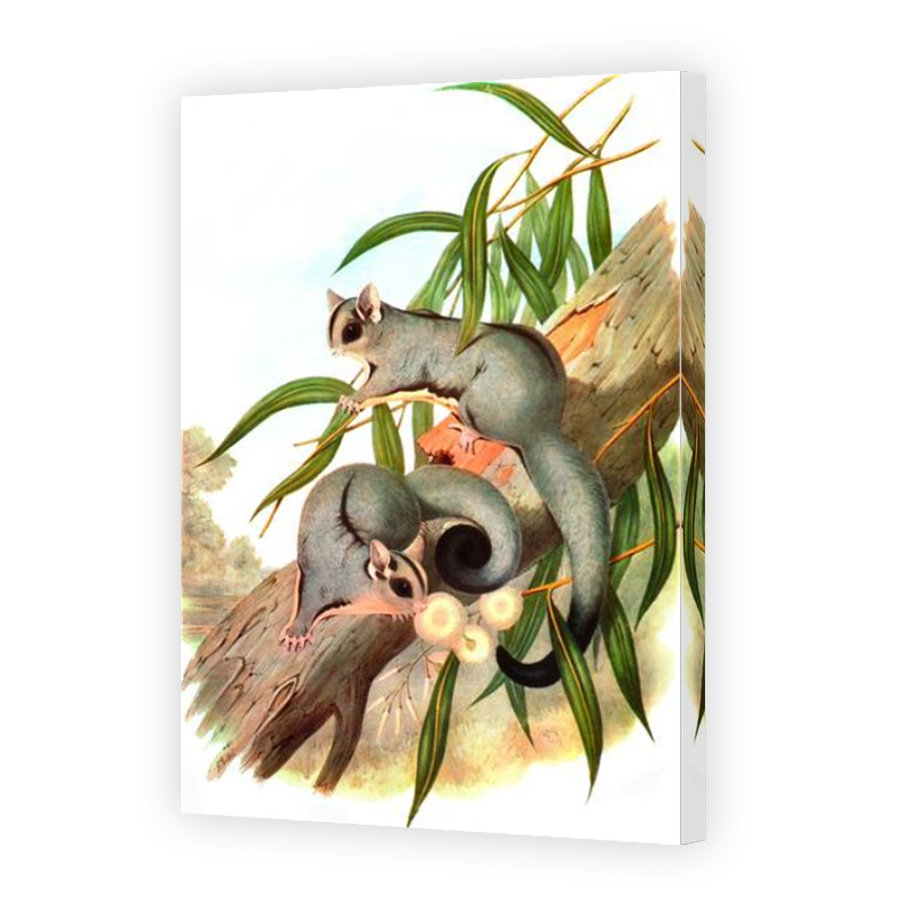 Thumbnail for Canvas - Mirror Image Canvas Wrap