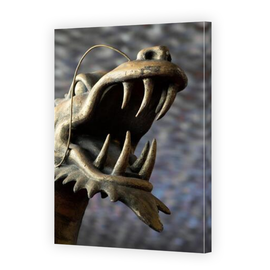 Thumbnail for Canvas - Mirror Image Canvas Wrap