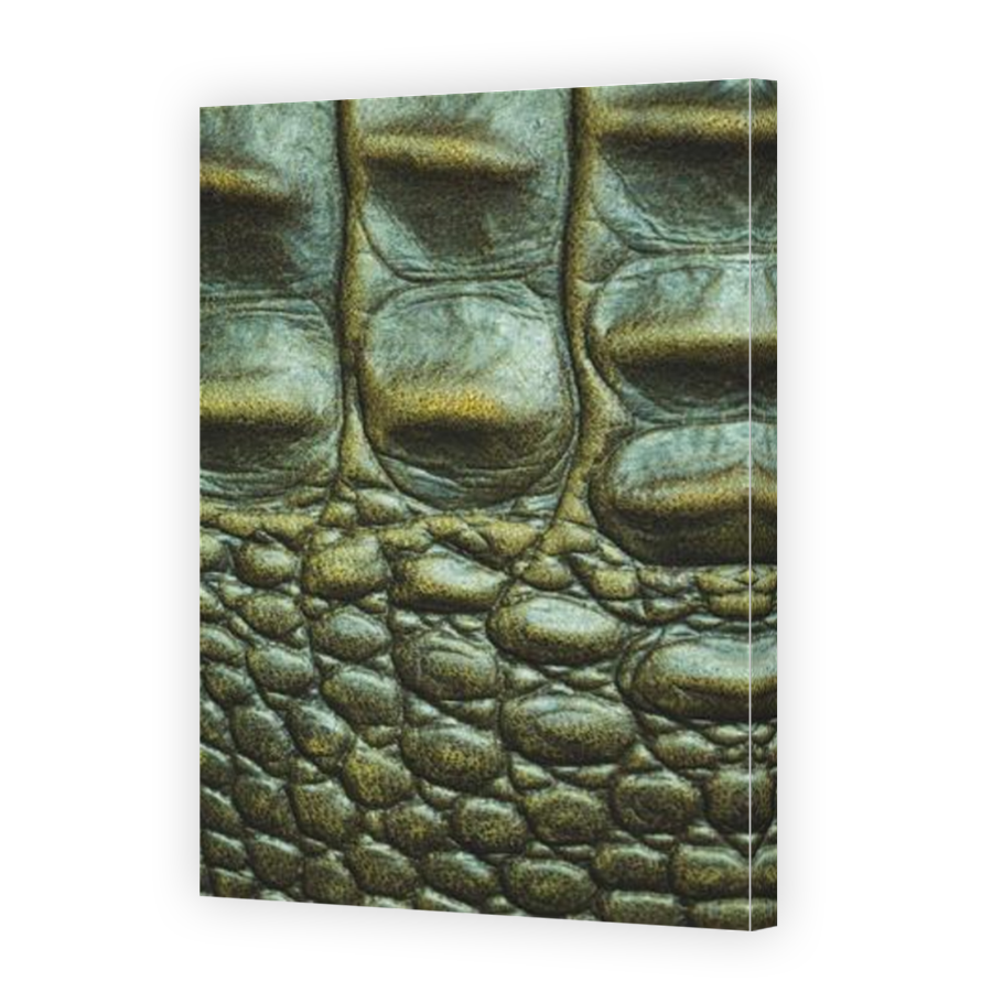 Thumbnail for Canvas - Mirror Image Canvas Wrap