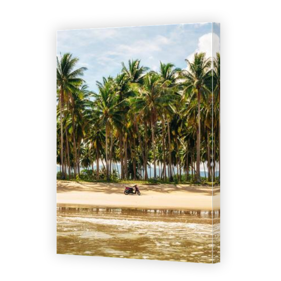 Thumbnail for Canvas - Mirror Image Canvas Wrap