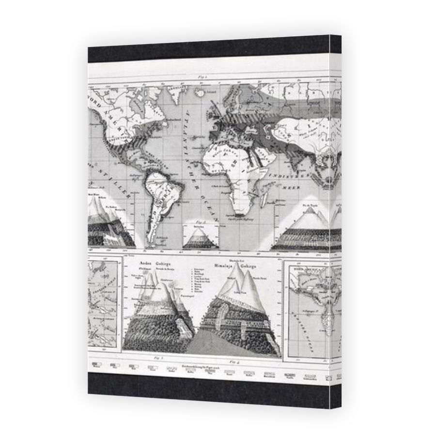 Thumbnail for Canvas - Mirror Image Canvas Wrap