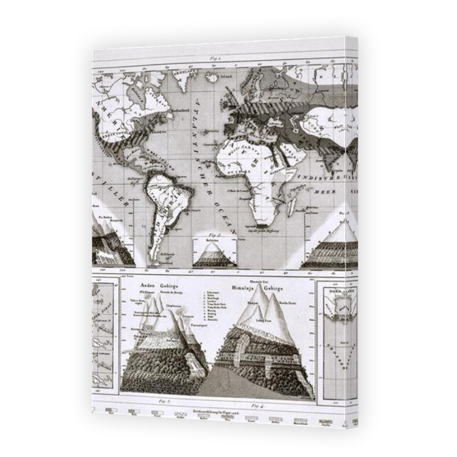 Thumbnail for Canvas - Mirror Image Canvas Wrap