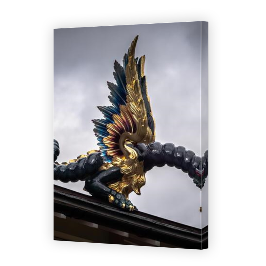 Thumbnail for Canvas - Mirror Image Canvas Wrap