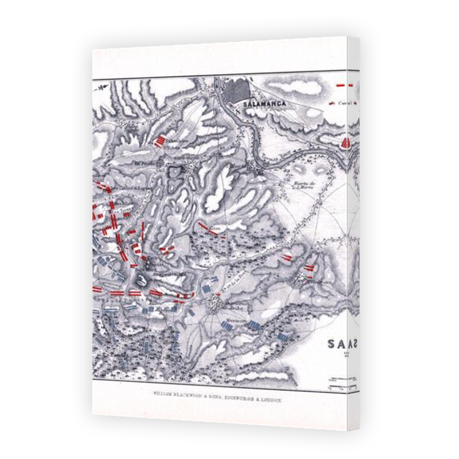 Thumbnail for Canvas - Mirror Image Canvas Wrap