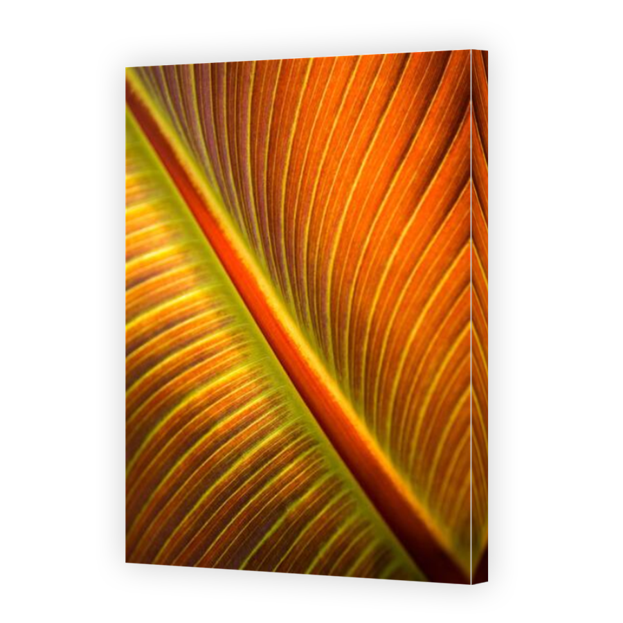 Thumbnail for Canvas - Mirror Image Canvas Wrap