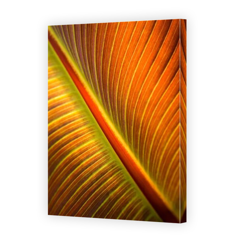 Thumbnail for Canvas - Mirror Image Canvas Wrap