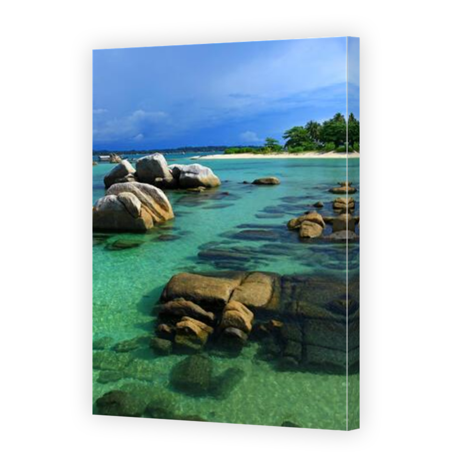 Thumbnail for Canvas - Mirror Image Canvas Wrap