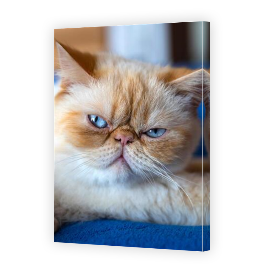 Thumbnail for Canvas - Mirror Image Canvas Wrap
