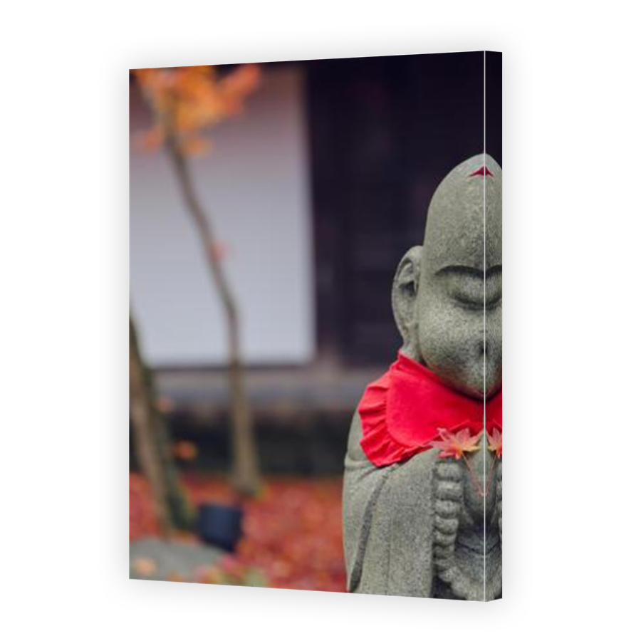 Thumbnail for Canvas - Mirror Image Canvas Wrap