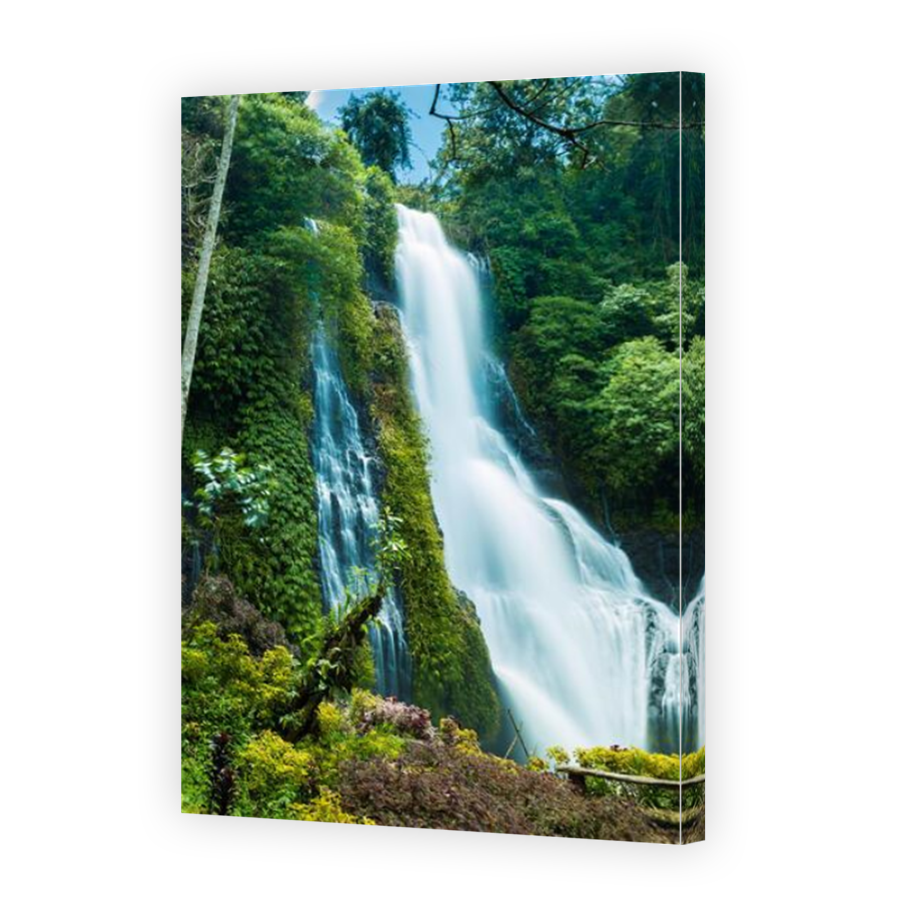 Thumbnail for Canvas - Mirror Image Canvas Wrap