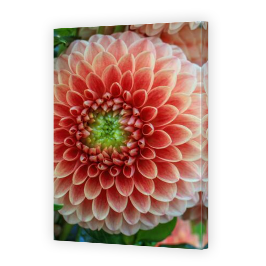 Thumbnail for Canvas - Mirror Image Canvas Wrap