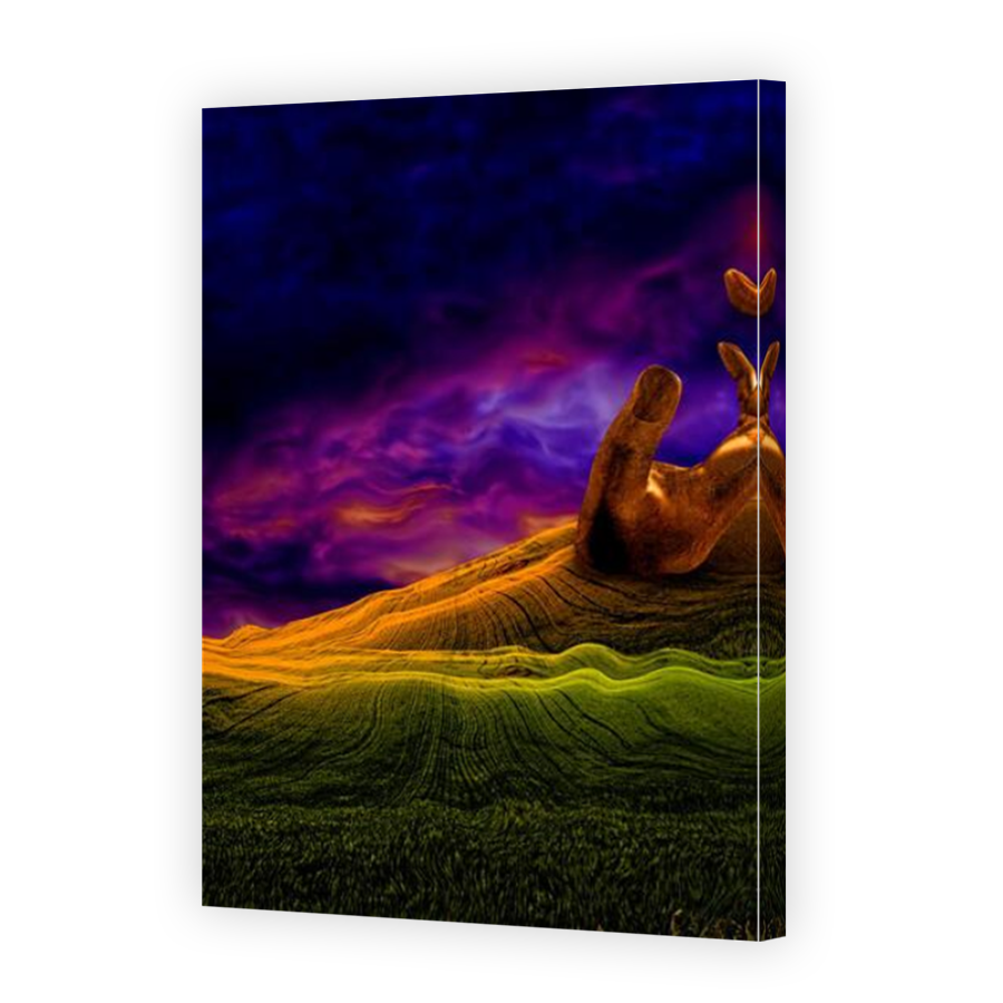 Thumbnail for Canvas - Mirror Image Canvas Wrap