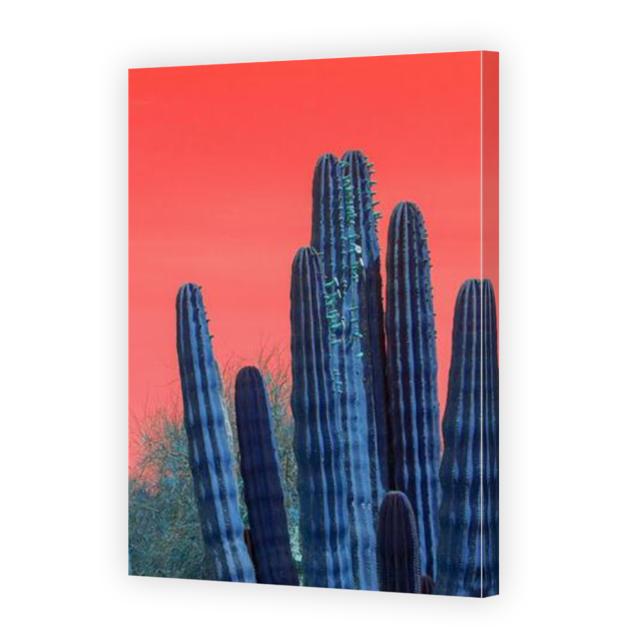 Thumbnail for Canvas - Mirror Image Canvas Wrap