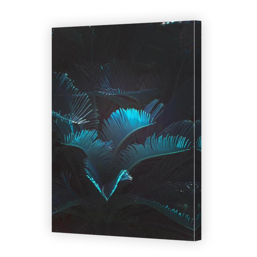 Thumbnail for Canvas - Mirror Image Canvas Wrap