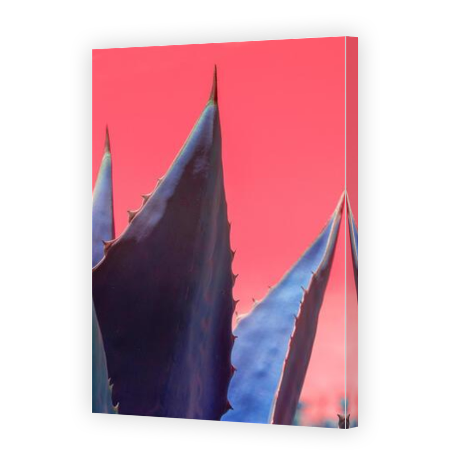 Thumbnail for Canvas - Mirror Image Canvas Wrap