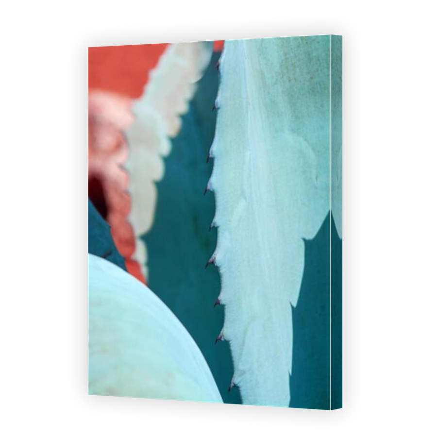 Thumbnail for Canvas - Mirror Image Canvas Wrap