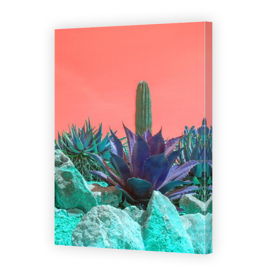 Thumbnail for Canvas - Mirror Image Canvas Wrap