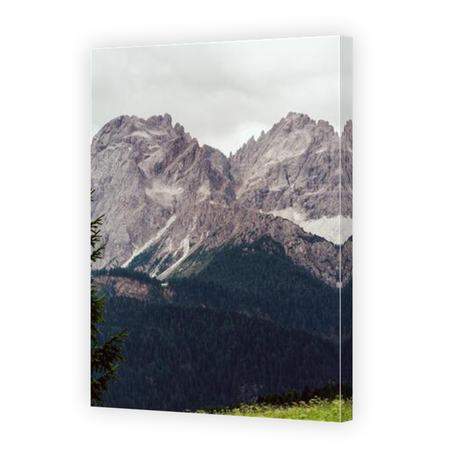 Thumbnail for Canvas - Mirror Image Canvas Wrap