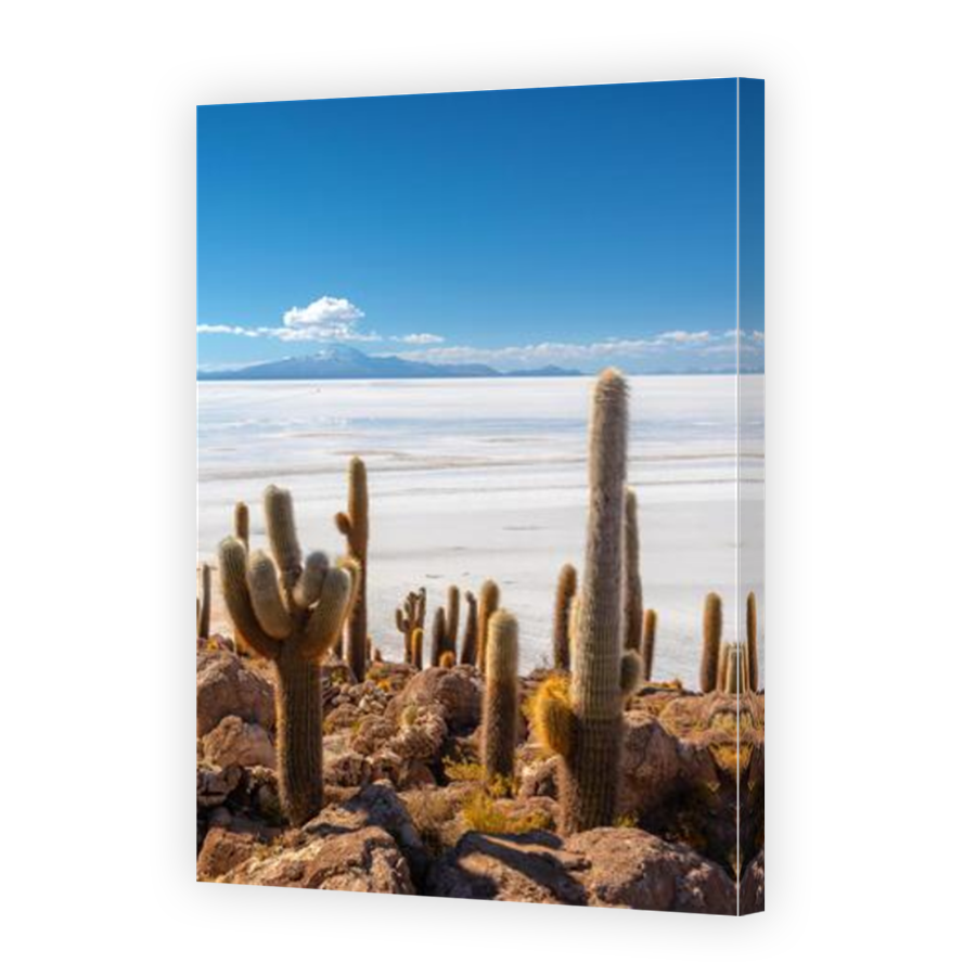 Thumbnail for Canvas - Mirror Image Canvas Wrap