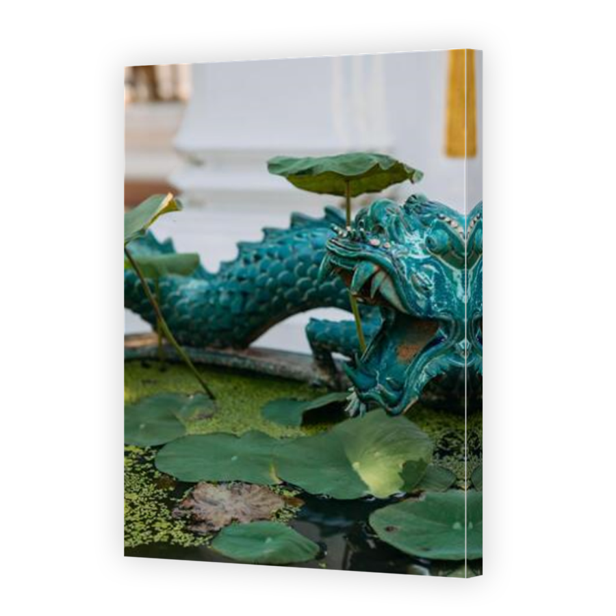 Thumbnail for Canvas - Mirror Image Canvas Wrap