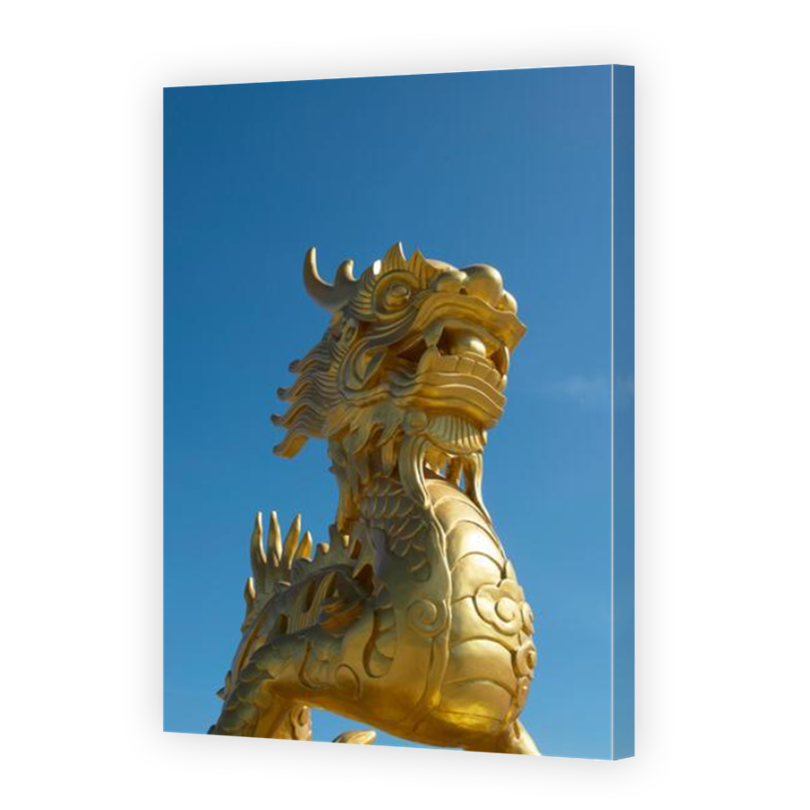 Thumbnail for Canvas - Mirror Image Canvas Wrap