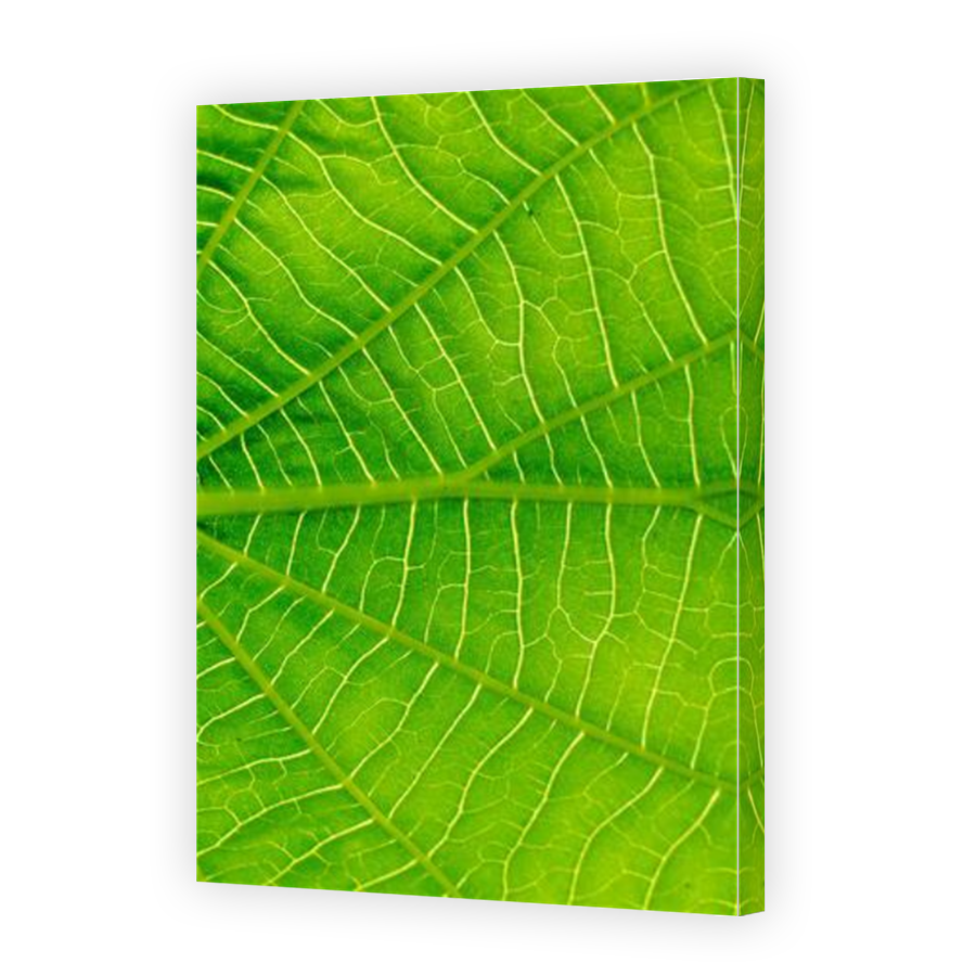 Thumbnail for Canvas - Mirror Image Canvas Wrap