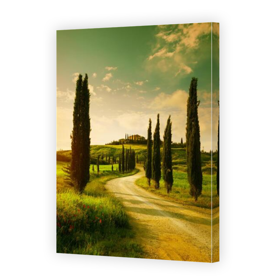 Thumbnail for Canvas - Mirror Image Canvas Wrap