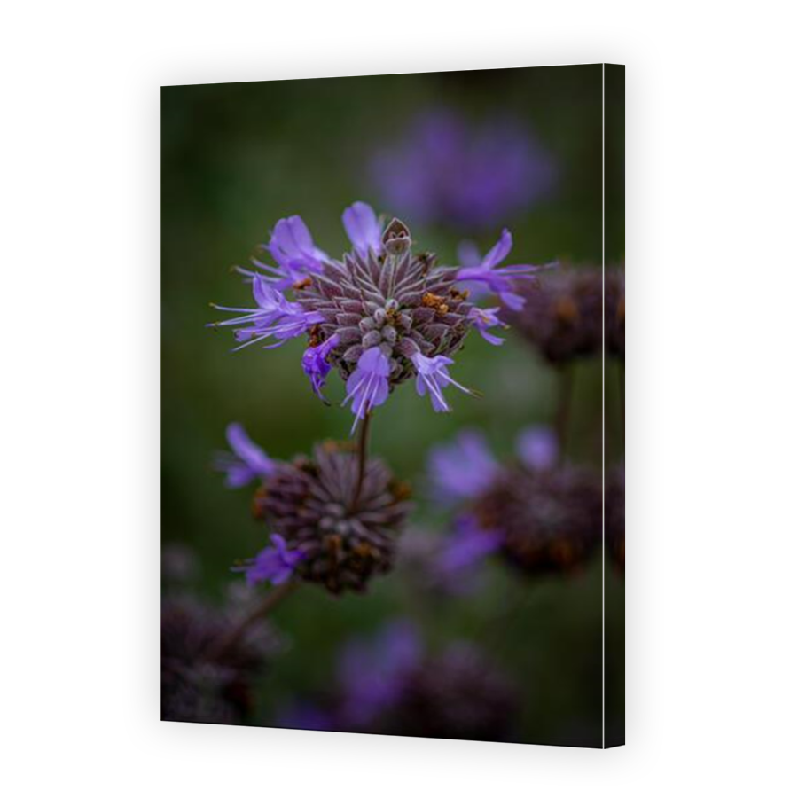Thumbnail for Canvas - Mirror Image Canvas Wrap