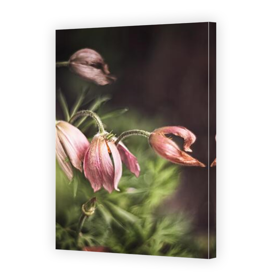 Thumbnail for Canvas - Mirror Image Canvas Wrap