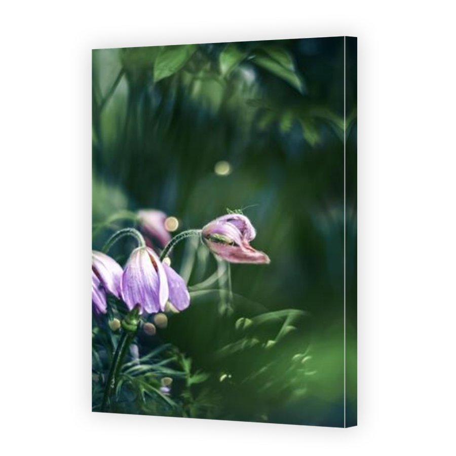 Thumbnail for Canvas - Mirror Image Canvas Wrap