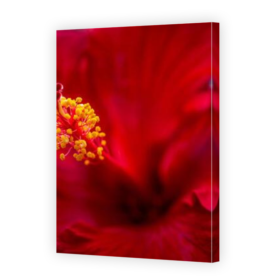 Thumbnail for Canvas - Mirror Image Canvas Wrap