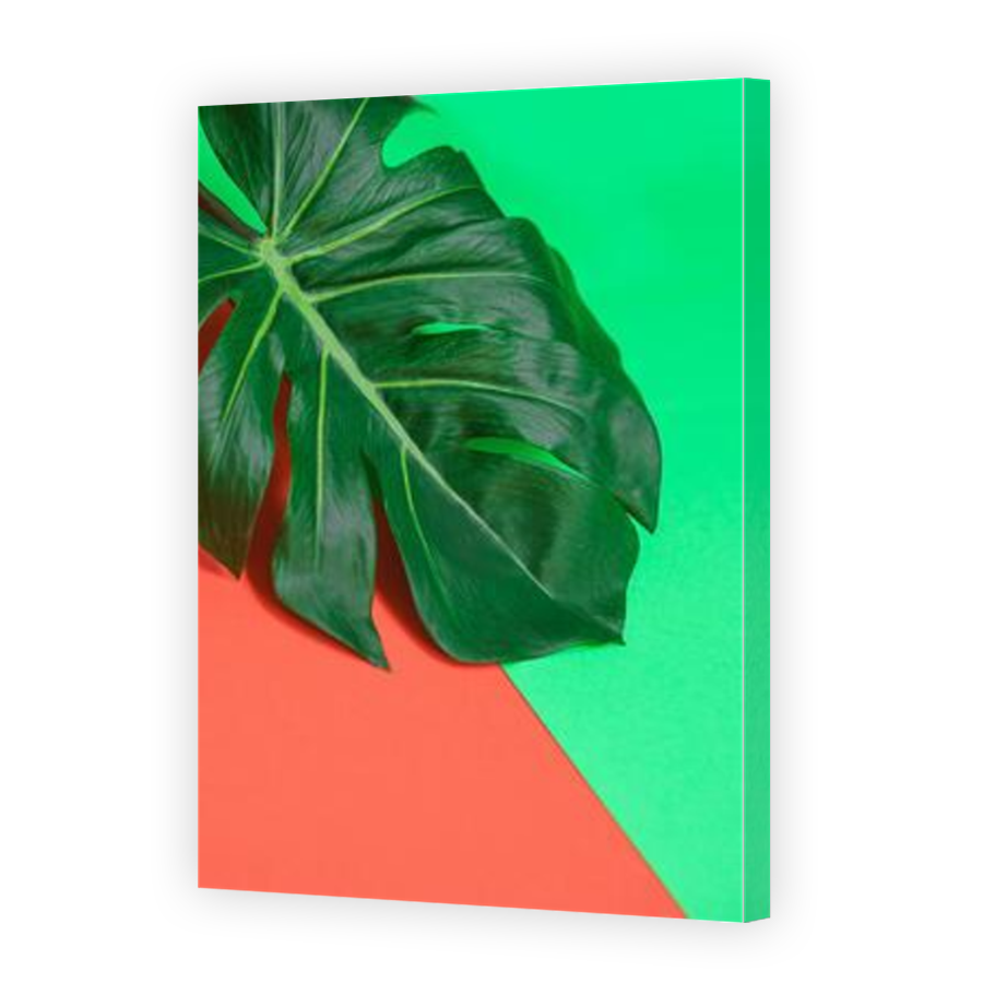 Thumbnail for Canvas - Mirror Image Canvas Wrap