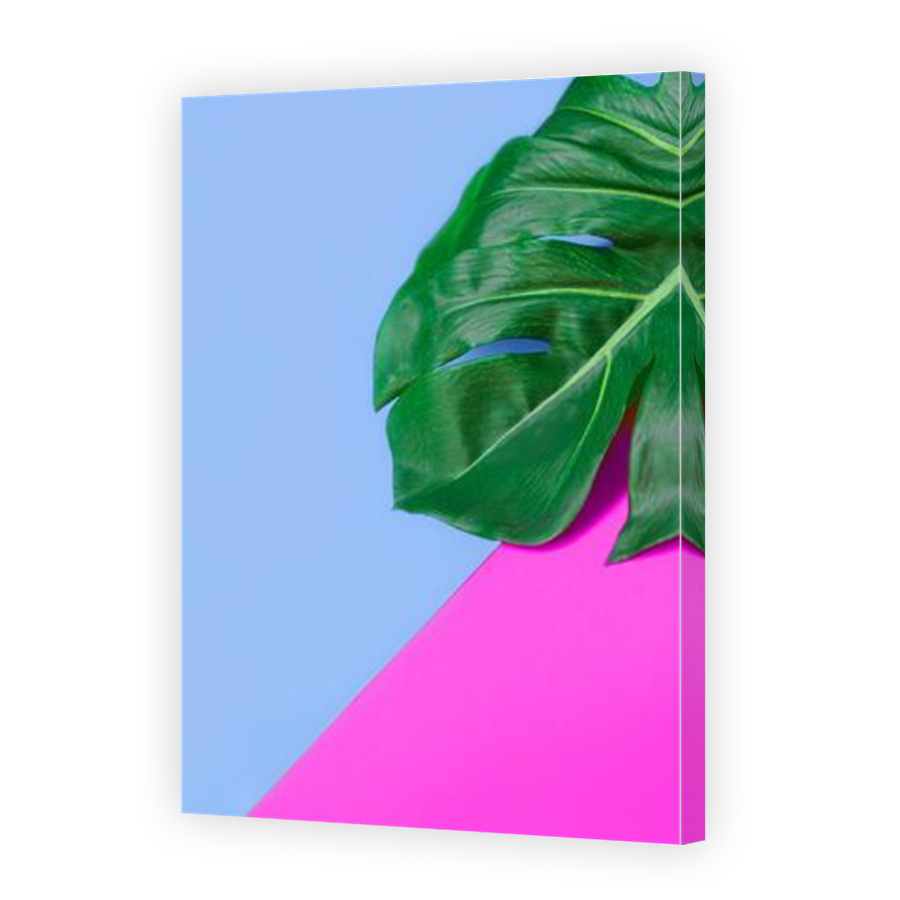 Thumbnail for Canvas - Mirror Image Canvas Wrap