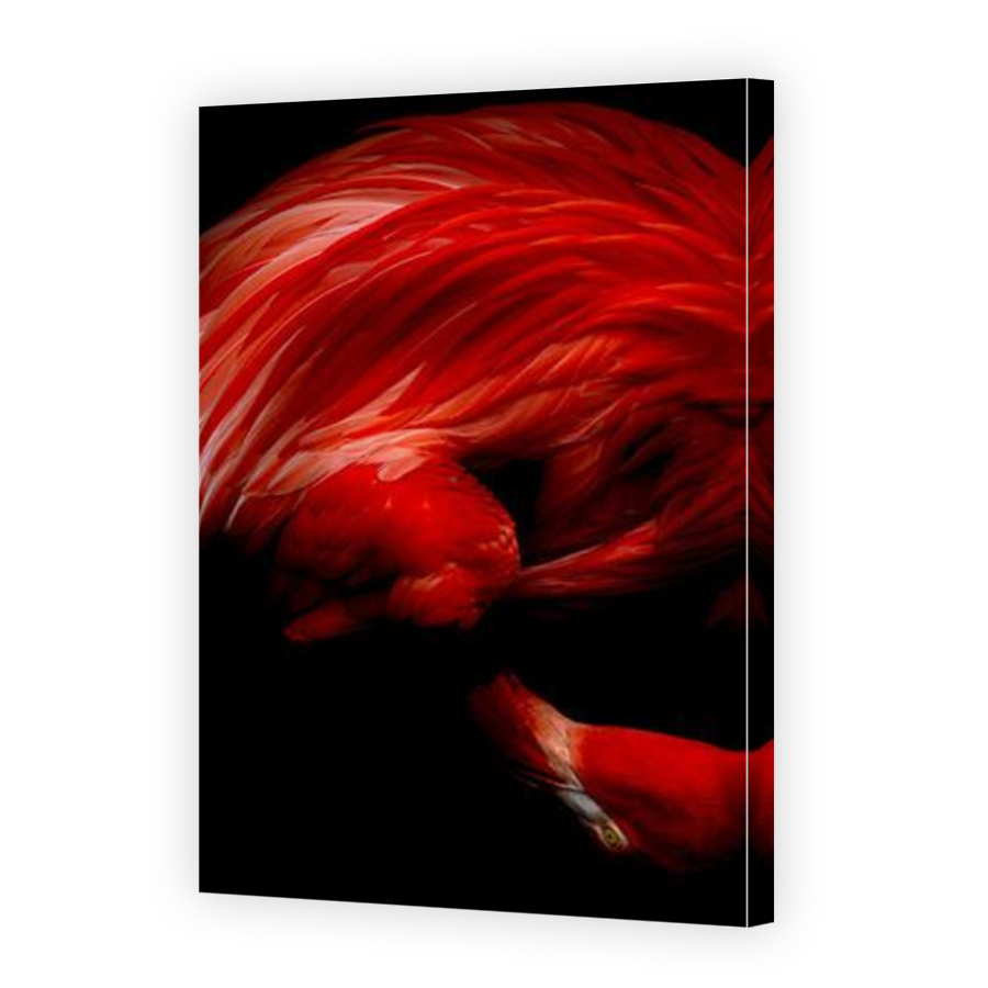 Thumbnail for Canvas - Mirror Image Canvas Wrap
