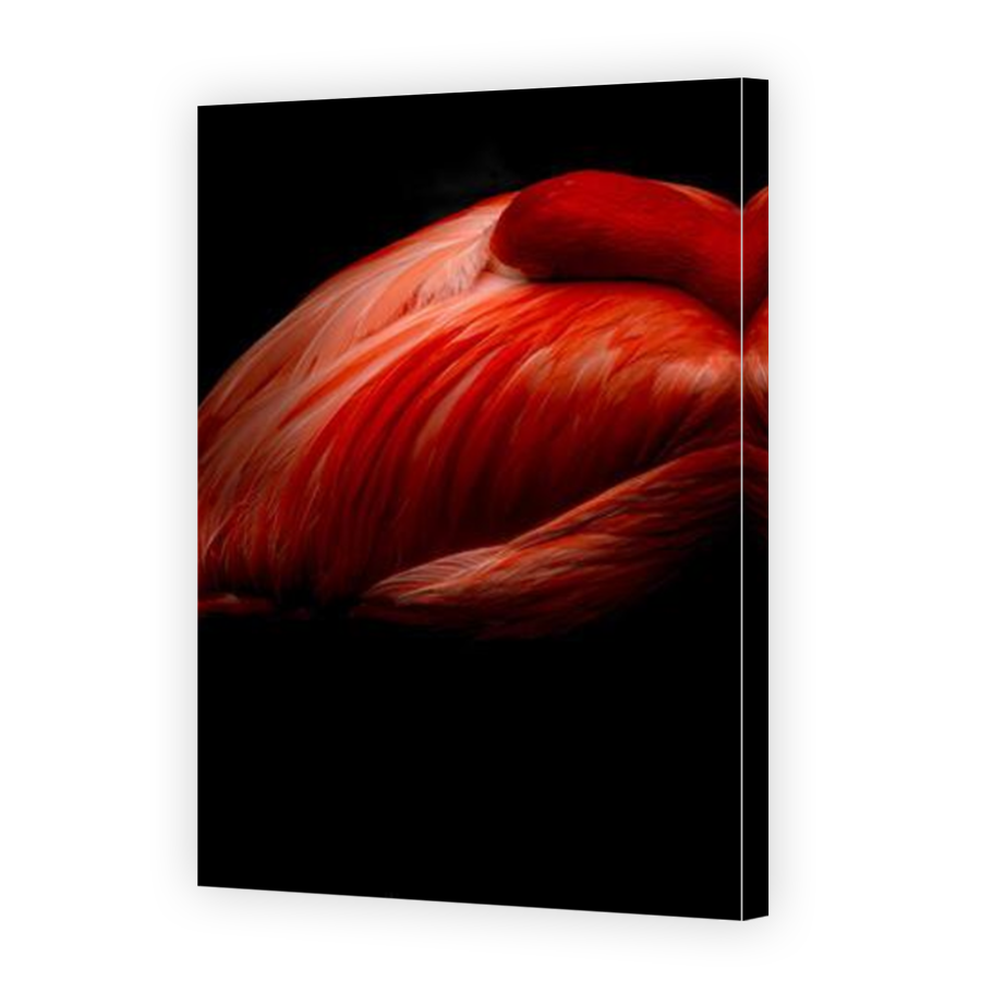 Thumbnail for Canvas - Mirror Image Canvas Wrap