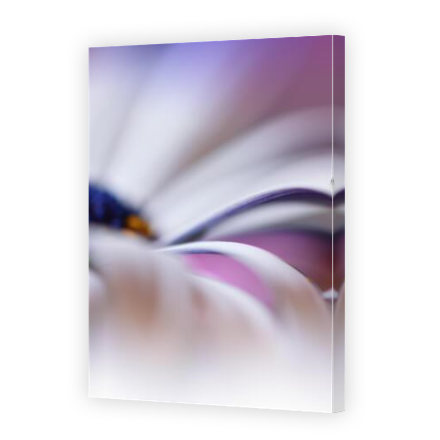 Thumbnail for Canvas - Mirror Image Canvas Wrap