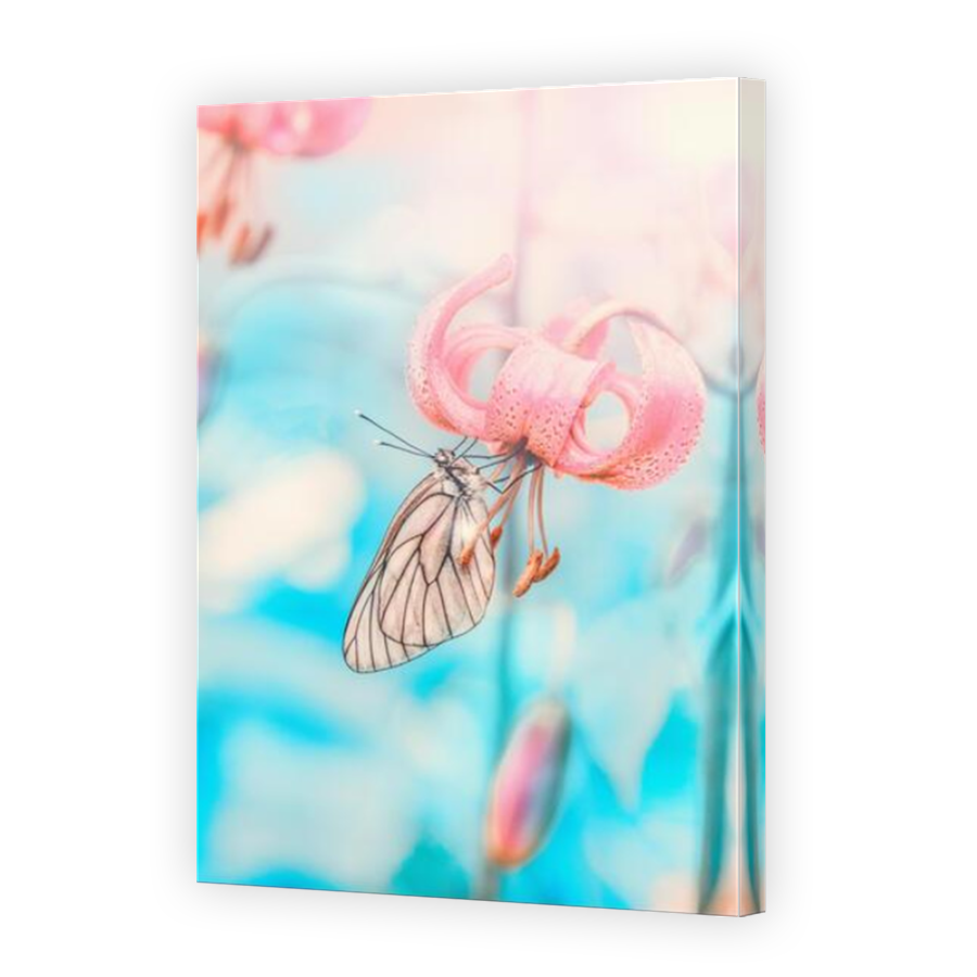 Thumbnail for Canvas - Mirror Image Canvas Wrap