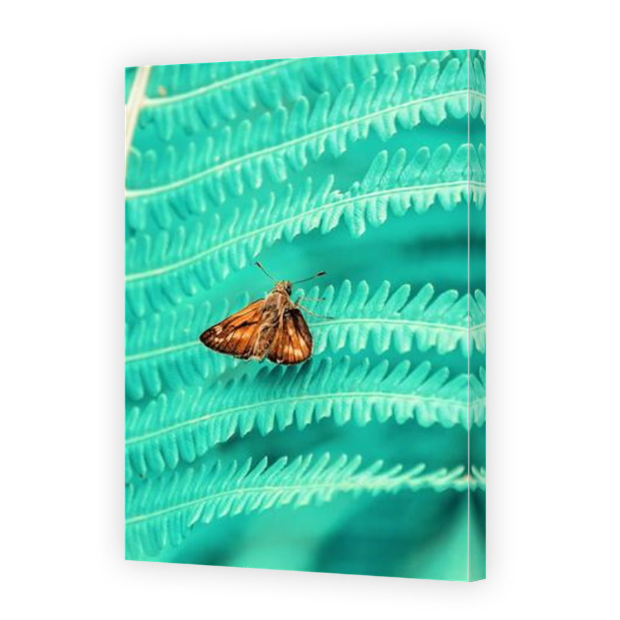 Thumbnail for Canvas - Mirror Image Canvas Wrap