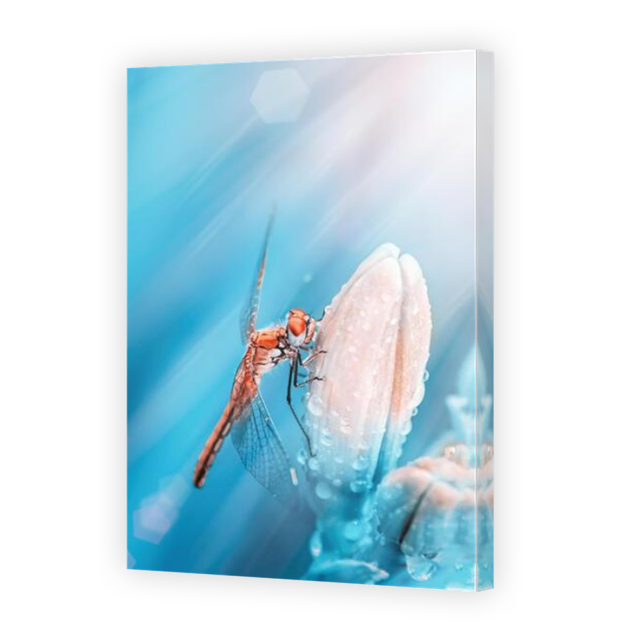 Thumbnail for Canvas - Mirror Image Canvas Wrap