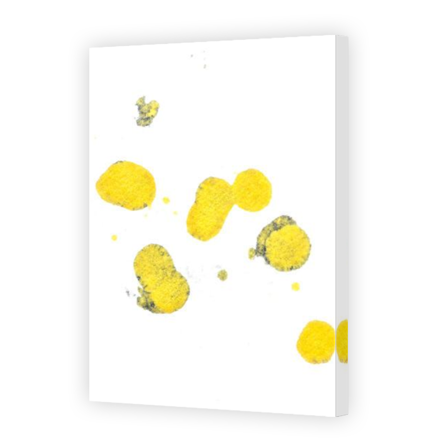 Thumbnail for Canvas - Mirror Image Canvas Wrap