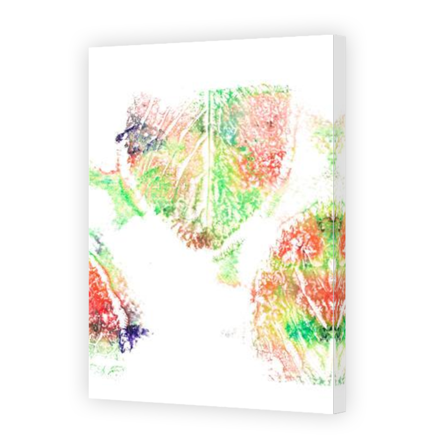 Thumbnail for Canvas - Mirror Image Canvas Wrap